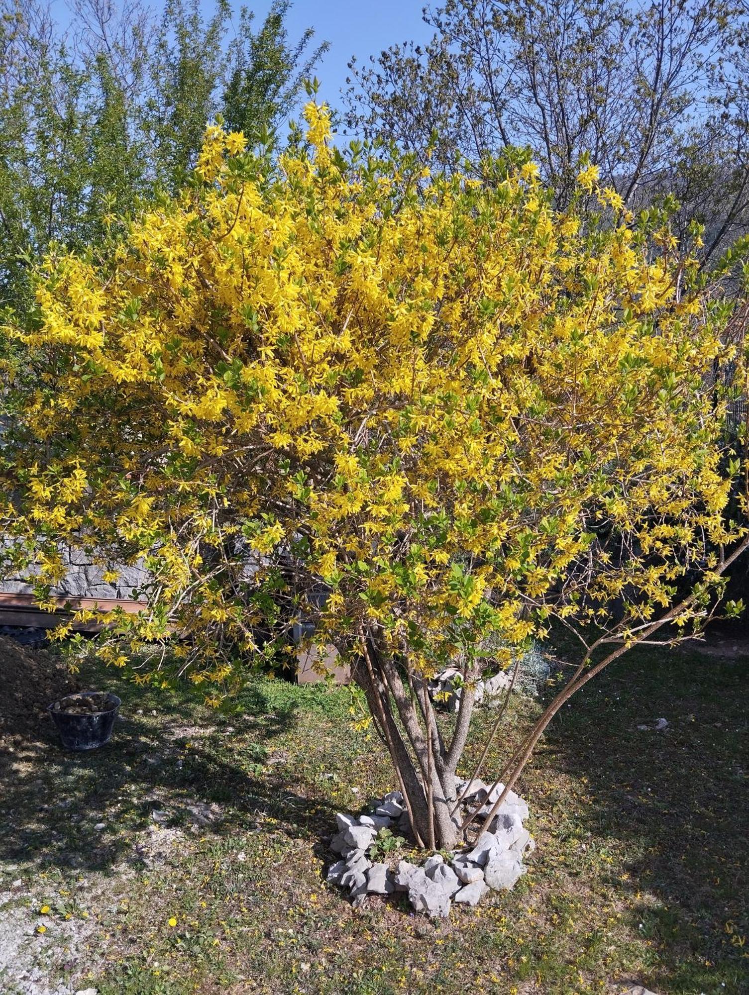 Apartmán Daal Roč Exteriér fotografie